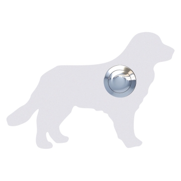 Türklingel Hund ''Balu'' Weiß