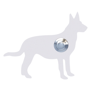 Türklingel Hund ''Emma'' Weiß