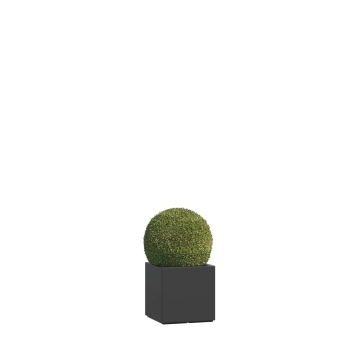 Pflanzkübel Alife Nano in Anthrazit