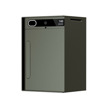 Smart Paketbriefkasten Baby Custo - Olive - Schwarz