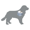 Türklingel Hund ''Balu'' Grau Metallic