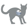 Türklingel Katze ''Leo'' Grau Metallic