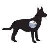 Türklingel Hund ''Emma'' Schwarz