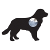 Türklingel Hund ''Balu'' Schwarz