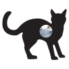 Türklingel Katze ''Leo'' Schwarz