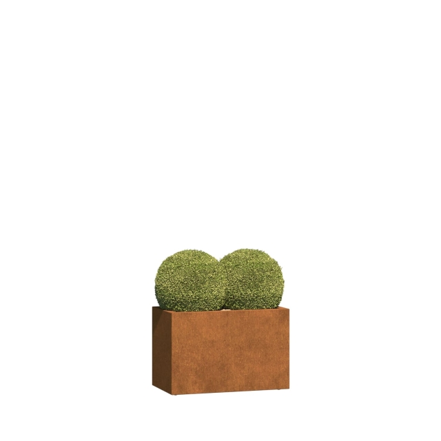0 0