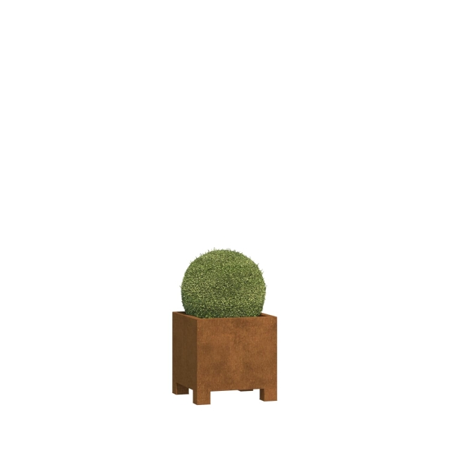 0 0