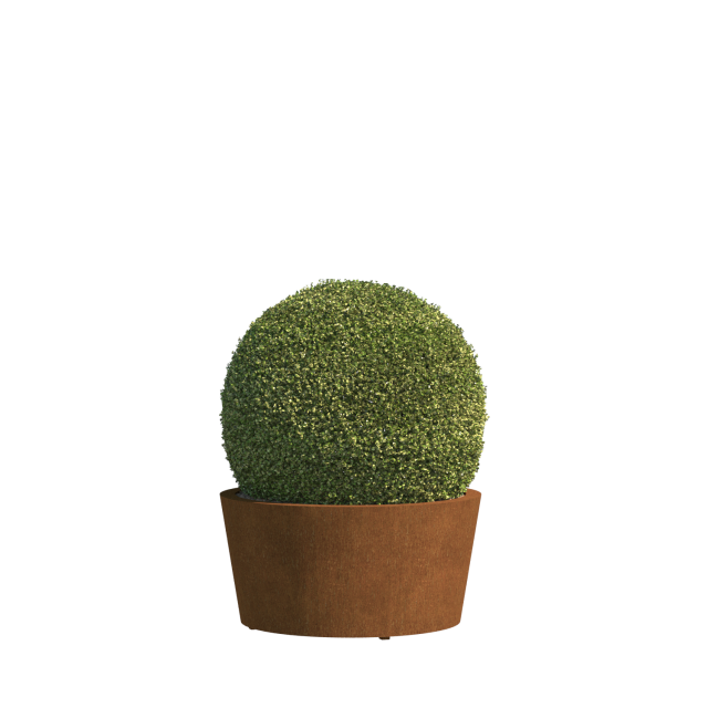 0 0