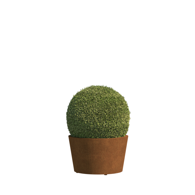 0 0