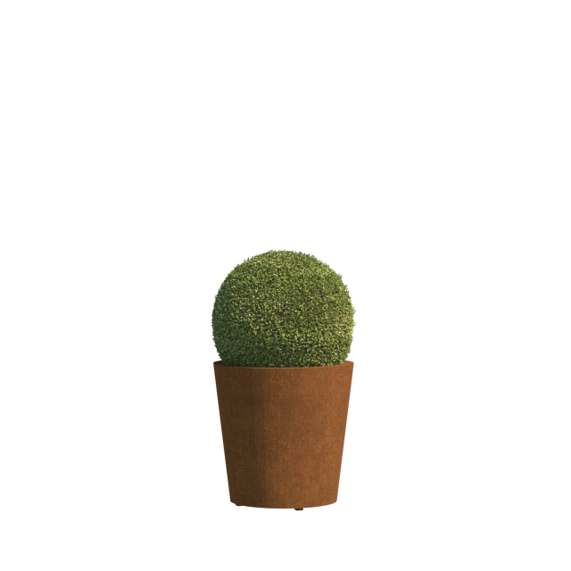 0 0