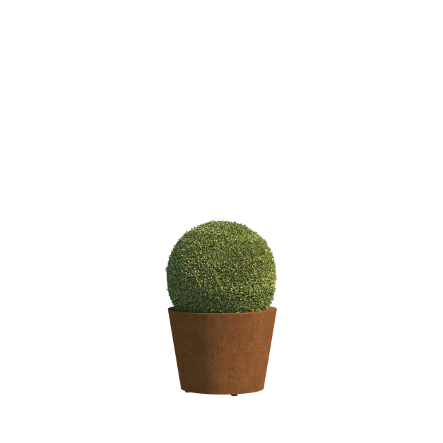 0 0