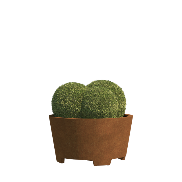 0 0