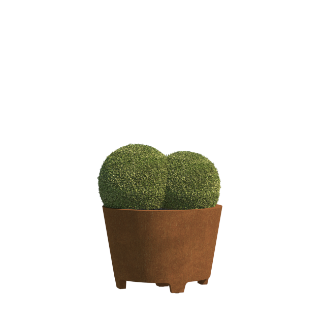 0 0