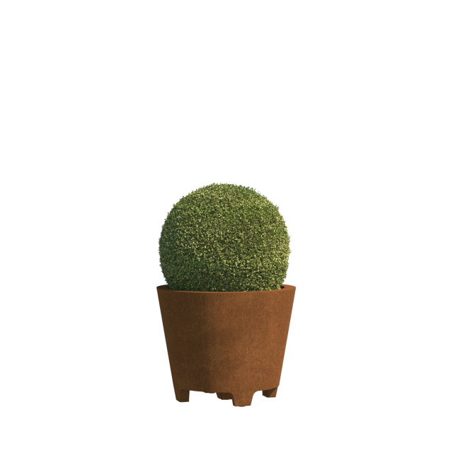 0 0