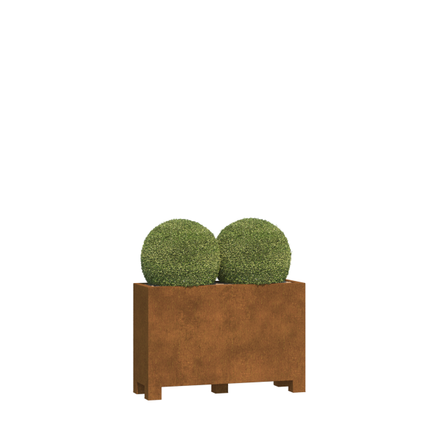 0 0