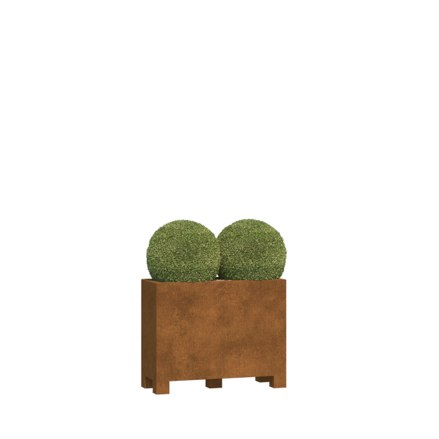 0 0