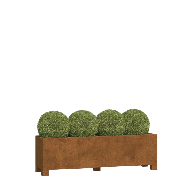 0 0