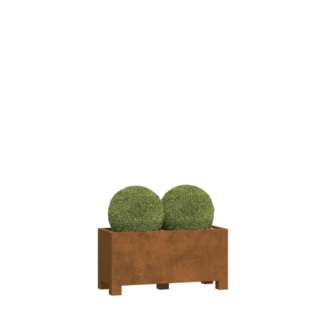 0 0