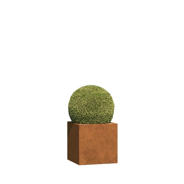 0 0
