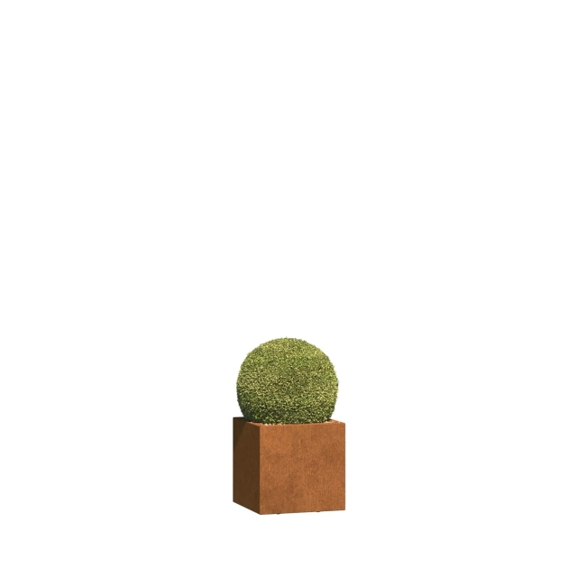 0 0