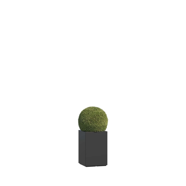 0 0