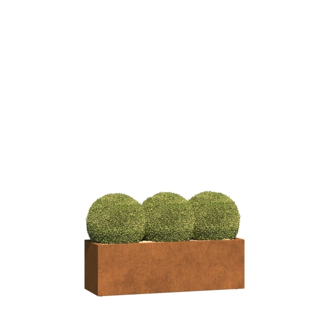 0 0