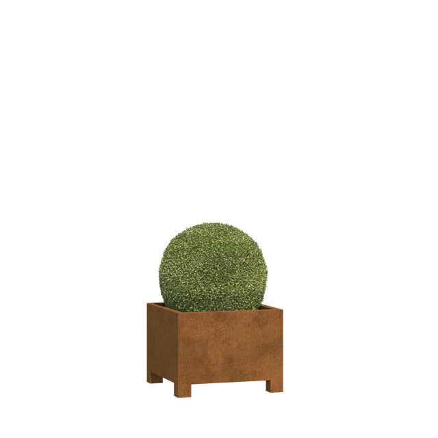 0 0