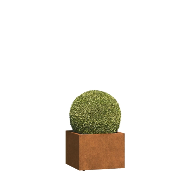 0 0