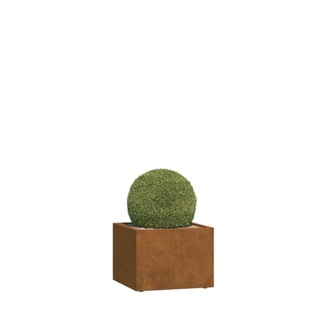 0 0