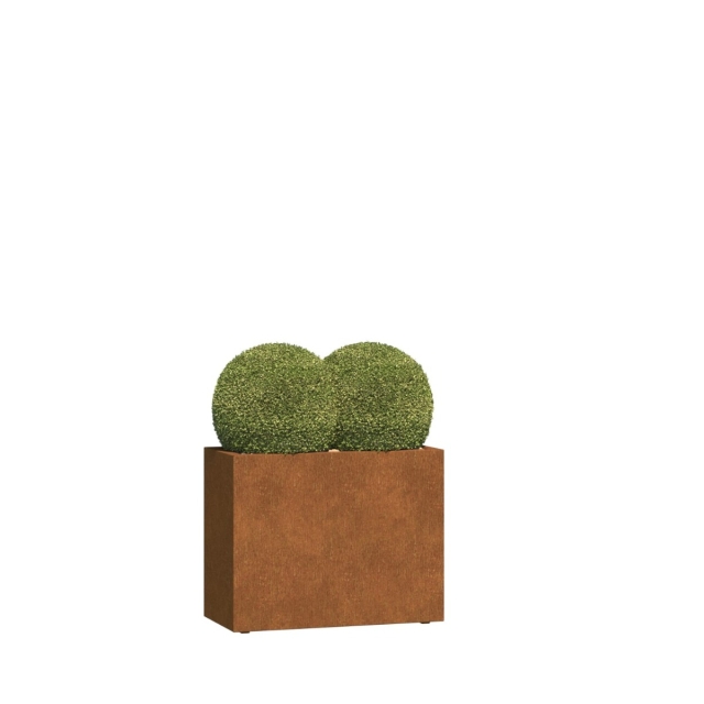 0 0