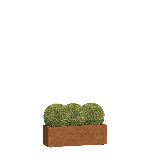 0 0