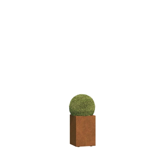 0 0